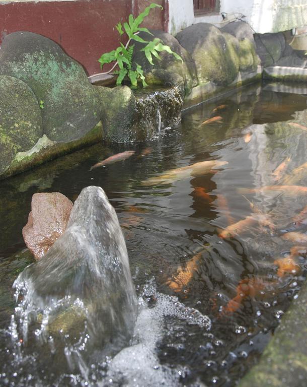 Bulan Bali Homestay Убуд Экстерьер фото