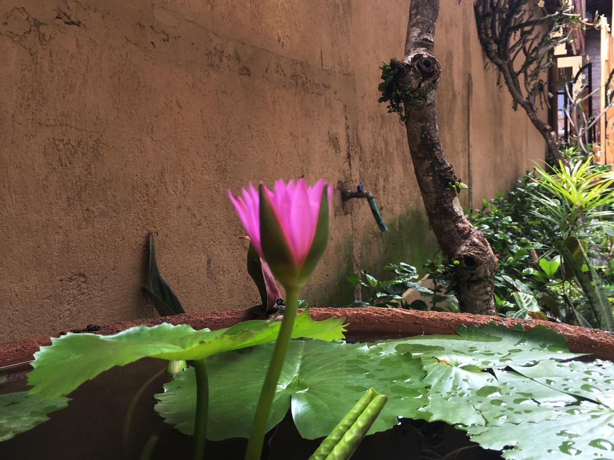 Bulan Bali Homestay Убуд Экстерьер фото